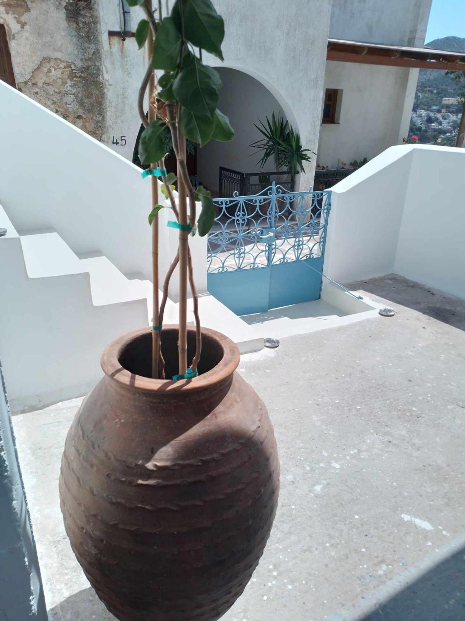 Koronos Blue Houseヴィラ エクステリア 写真